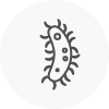 bacteria icon